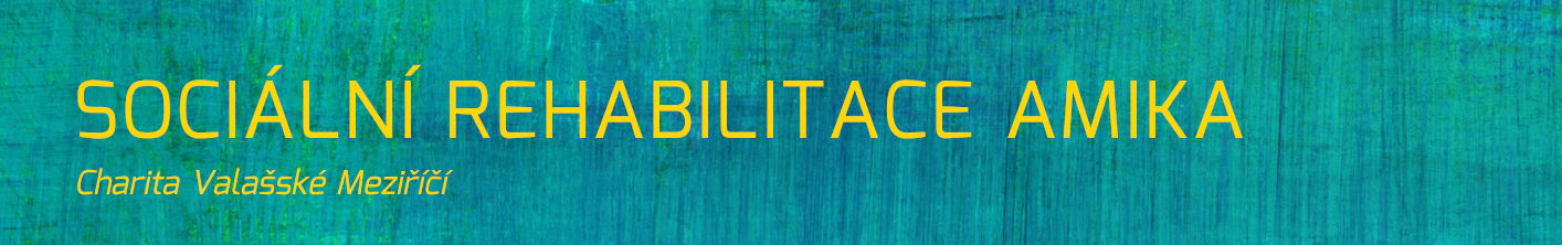 SOCIÁLNÍ REHABILITACE AMIKA